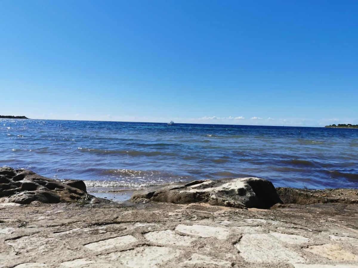 App Palcic K Daire Novigrad Istria Dış mekan fotoğraf
