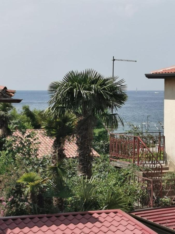 App Palcic K Daire Novigrad Istria Dış mekan fotoğraf