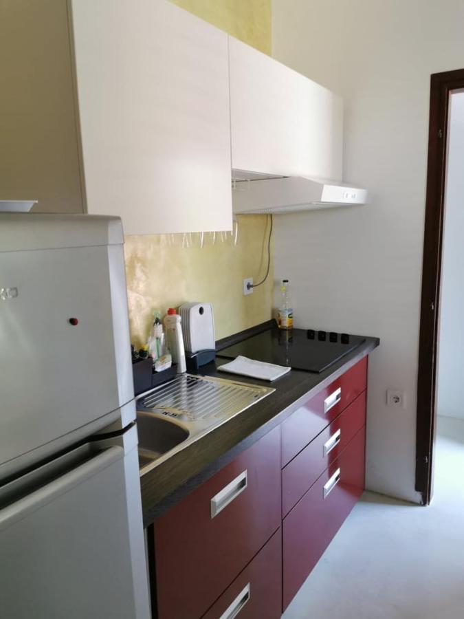 App Palcic K Daire Novigrad Istria Dış mekan fotoğraf