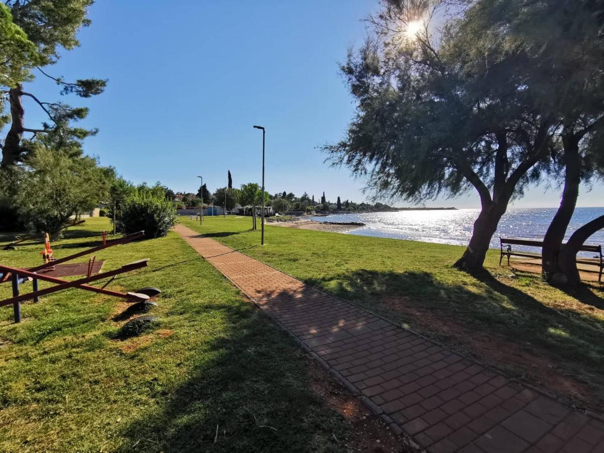 App Palcic K Daire Novigrad Istria Dış mekan fotoğraf
