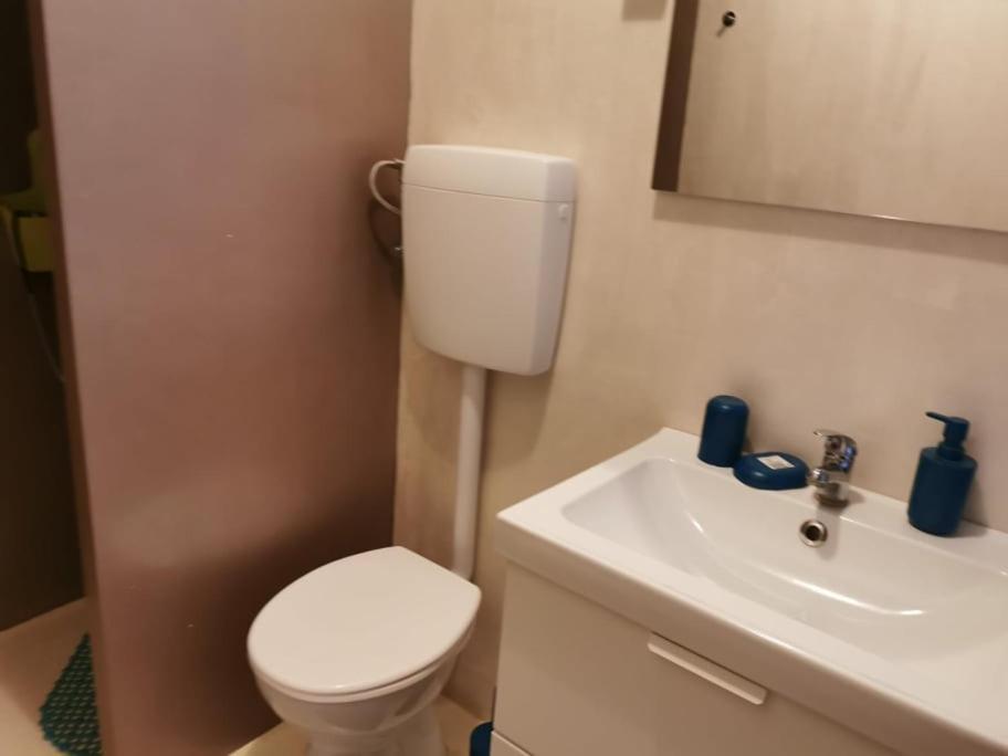 App Palcic K Daire Novigrad Istria Dış mekan fotoğraf