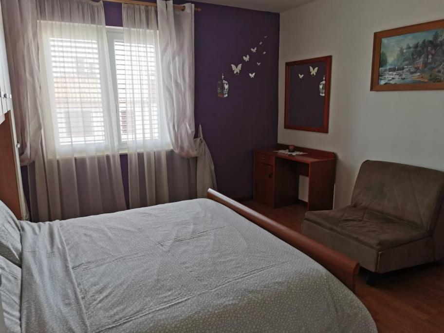App Palcic K Daire Novigrad Istria Dış mekan fotoğraf