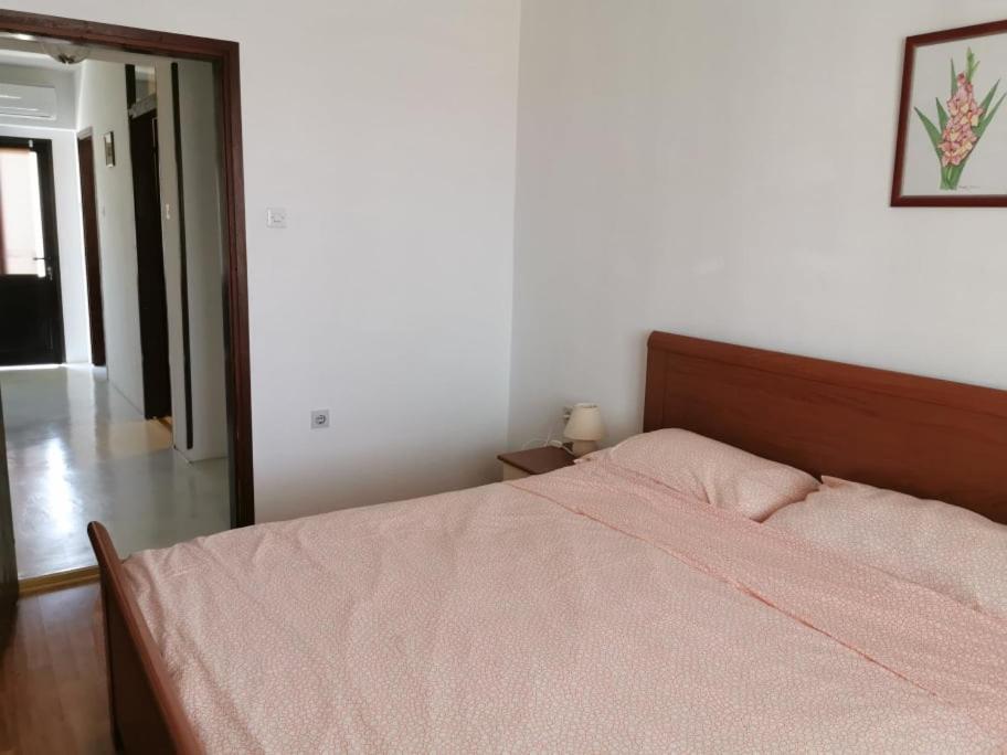 App Palcic K Daire Novigrad Istria Dış mekan fotoğraf