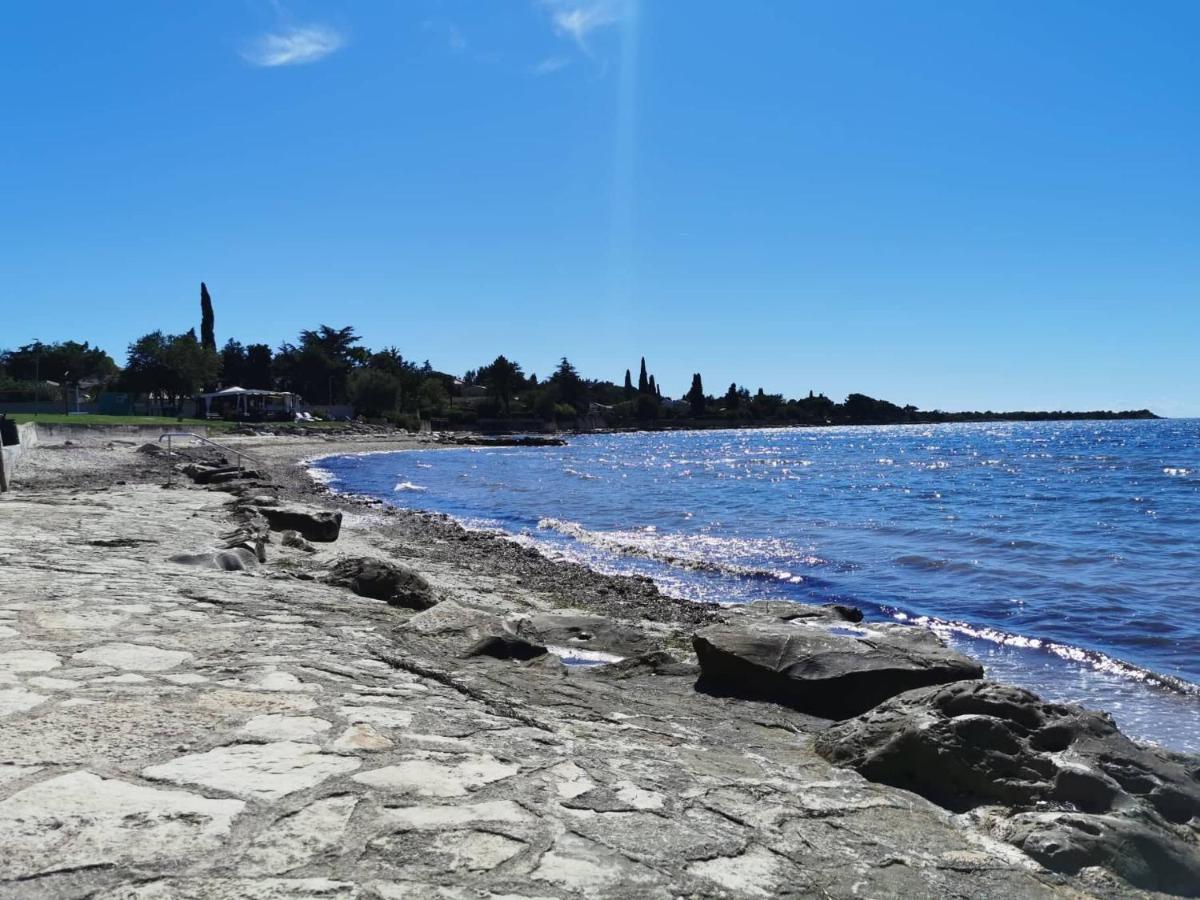 App Palcic K Daire Novigrad Istria Dış mekan fotoğraf