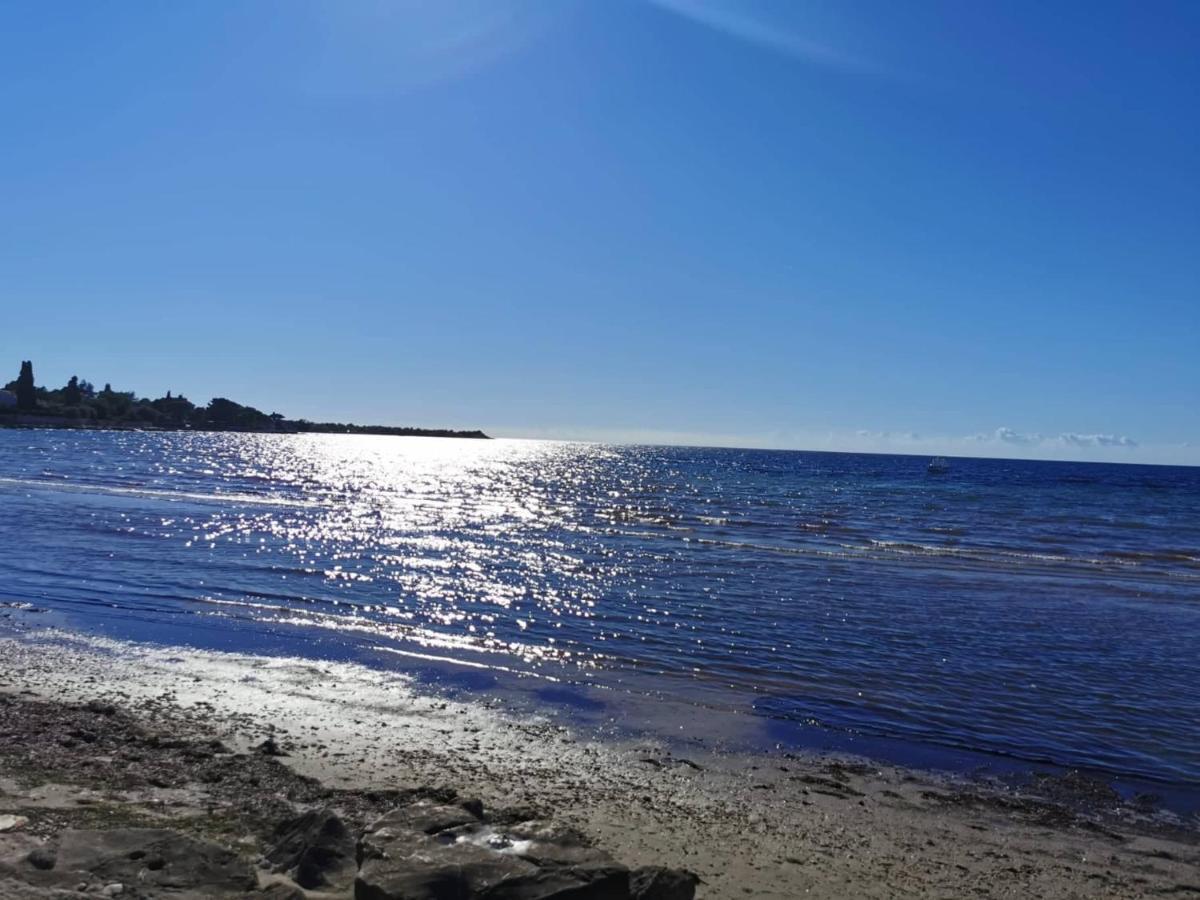 App Palcic K Daire Novigrad Istria Dış mekan fotoğraf
