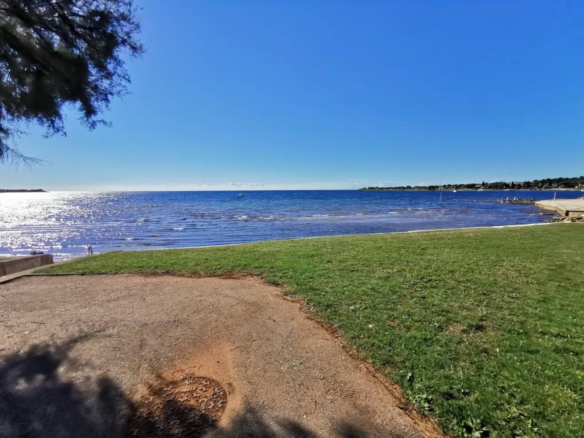 App Palcic K Daire Novigrad Istria Dış mekan fotoğraf