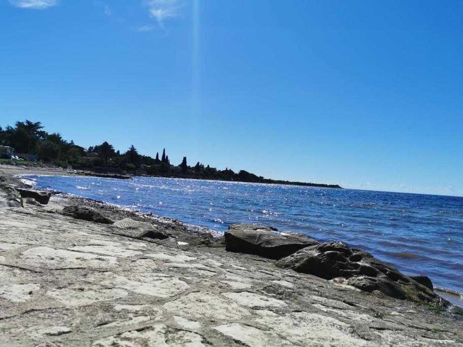 App Palcic K Daire Novigrad Istria Dış mekan fotoğraf