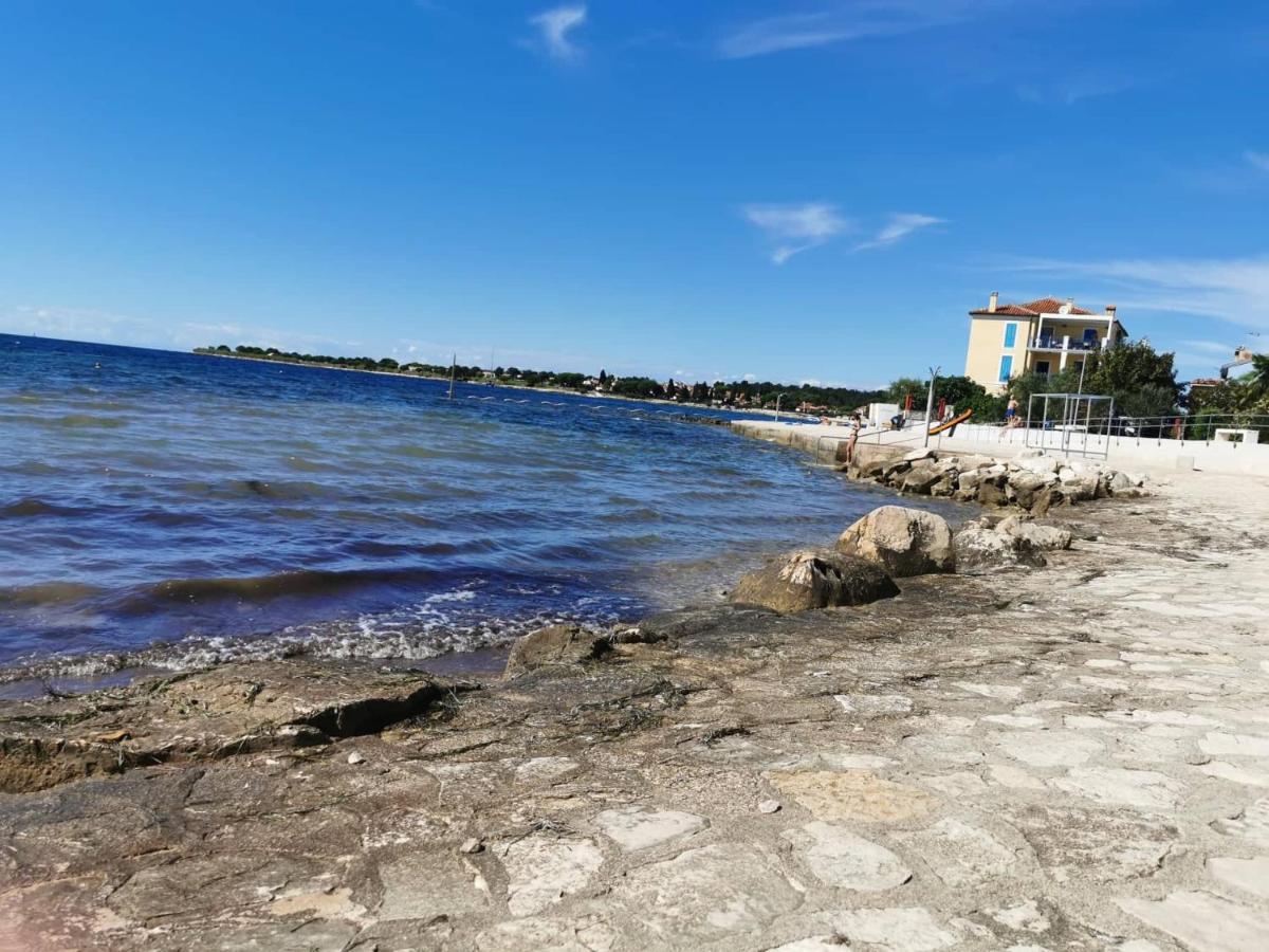App Palcic K Daire Novigrad Istria Dış mekan fotoğraf