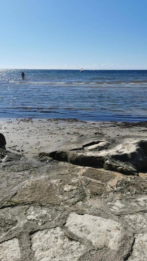 App Palcic K Daire Novigrad Istria Dış mekan fotoğraf