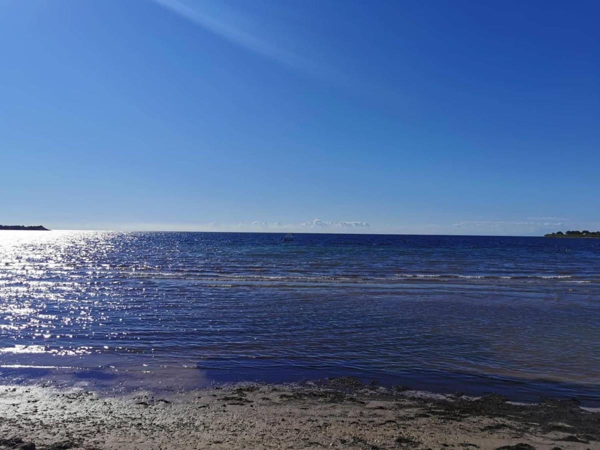 App Palcic K Daire Novigrad Istria Dış mekan fotoğraf