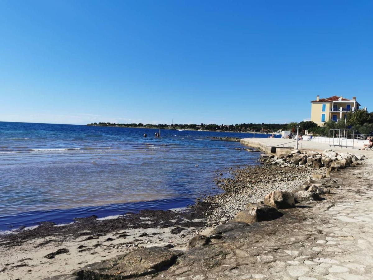 App Palcic K Daire Novigrad Istria Dış mekan fotoğraf