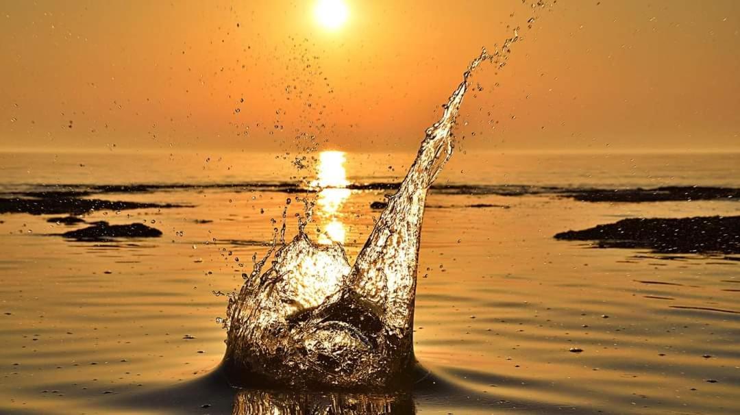 App Palcic K Daire Novigrad Istria Dış mekan fotoğraf
