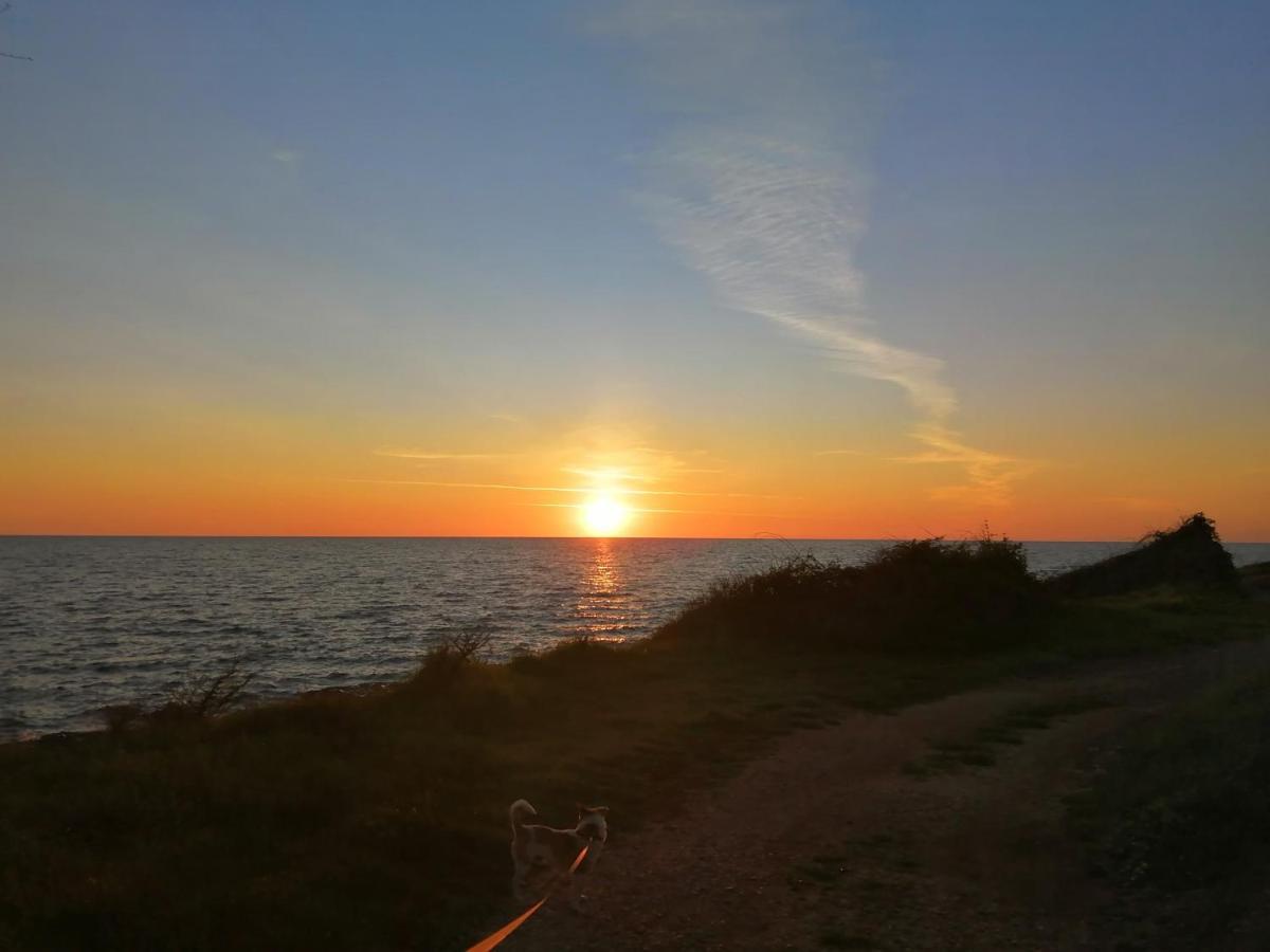 App Palcic K Daire Novigrad Istria Dış mekan fotoğraf