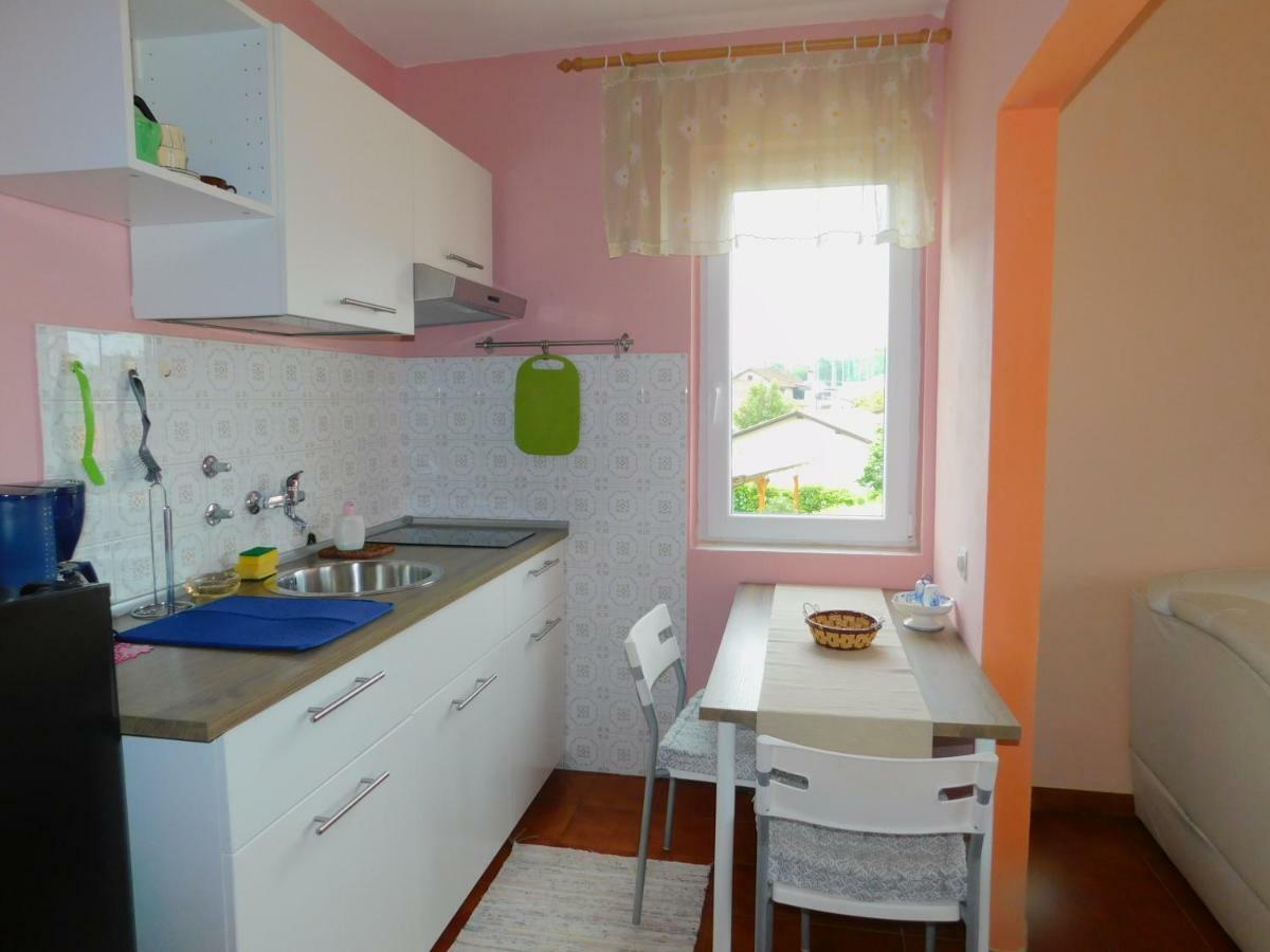 App Palcic K Daire Novigrad Istria Dış mekan fotoğraf