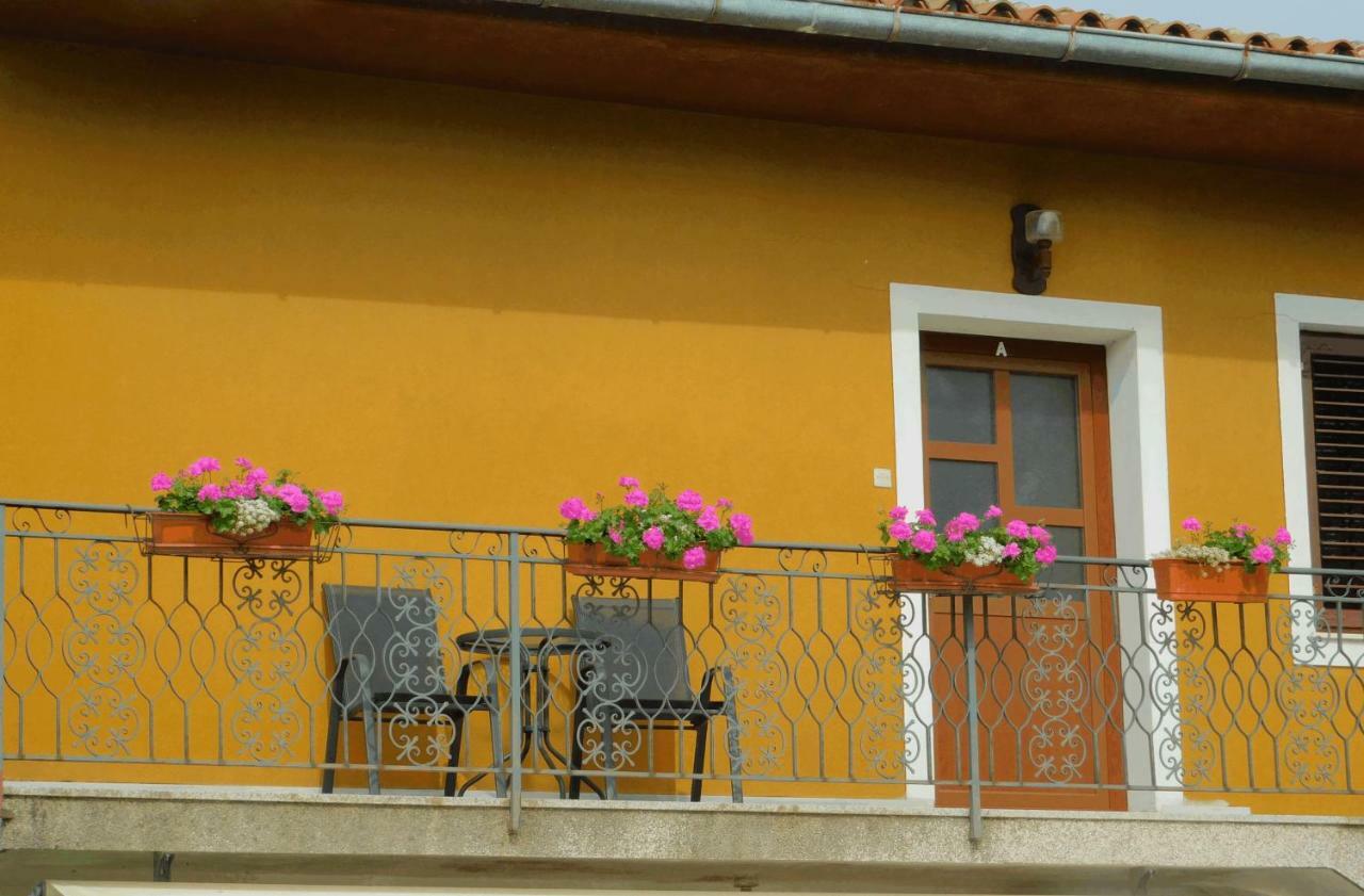 App Palcic K Daire Novigrad Istria Dış mekan fotoğraf